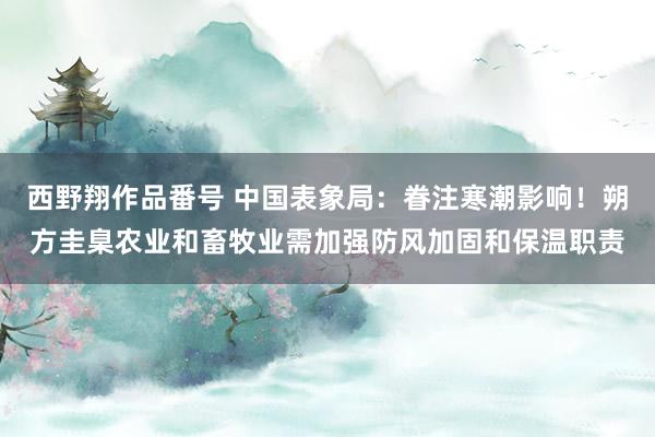 西野翔作品番号 中国表象局：眷注寒潮影响！朔方圭臬农业和畜牧业需加强防风加固和保温职责