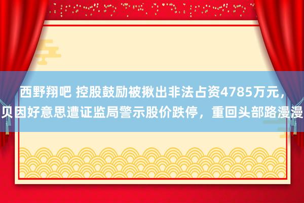 西野翔吧 控股鼓励被揪出非法占资4785万元，贝因好意思遭证监局警示股价跌停，重回头部路漫漫