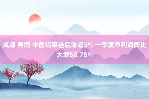 成都 男同 中国铝事迹后涨超3% 一季度净利润同比大增58.78%