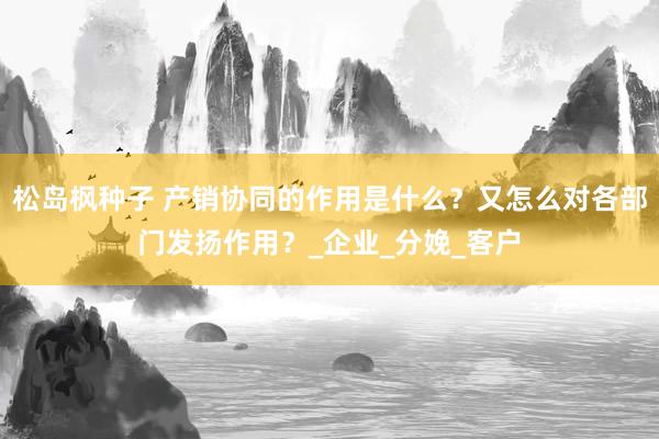 松岛枫种子 产销协同的作用是什么？又怎么对各部门发扬作用？_企业_分娩_客户